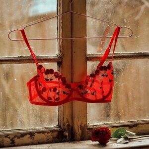 For Love & Lemons Cerise Cherry Bra 🍒
